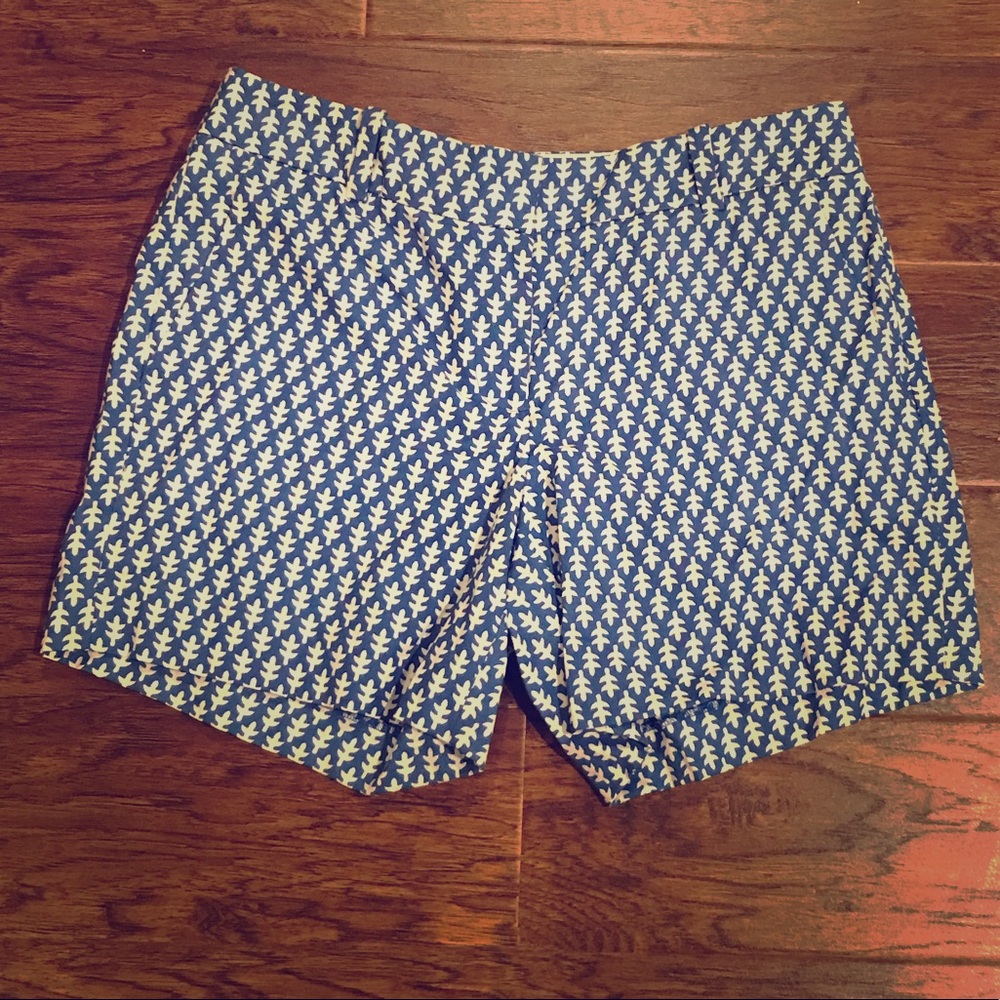 J Crew Shorts